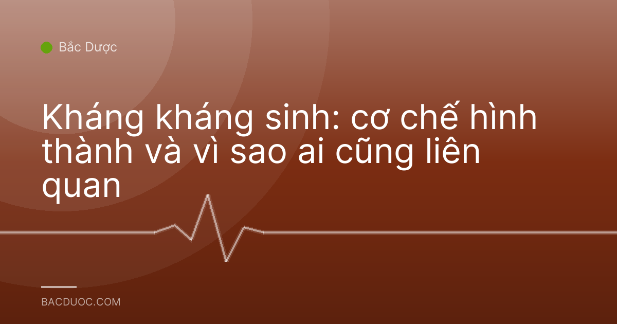 Kháng kháng sinh: cơ chế hình thành và vì sao ai cũng liên quan