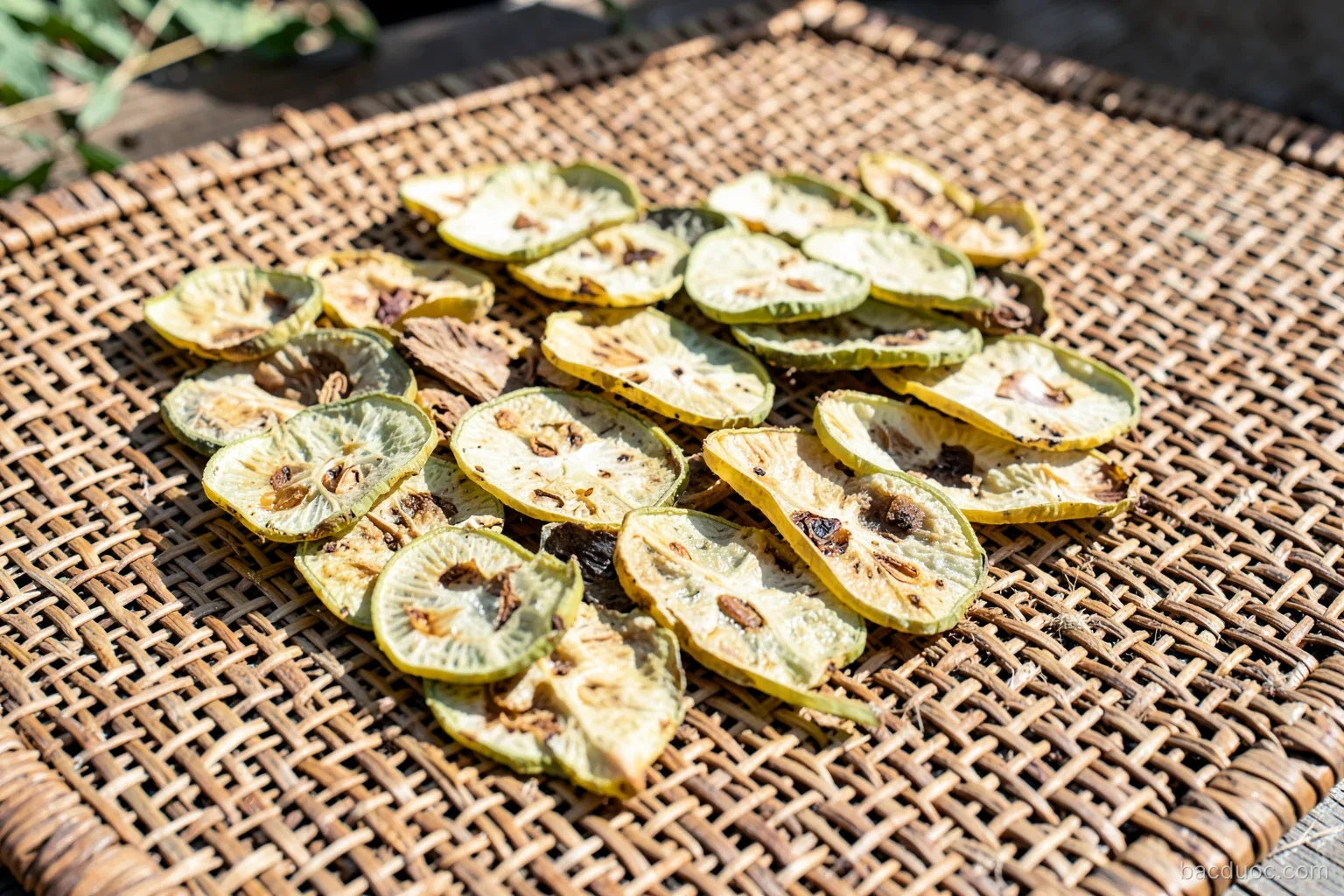 Chế biến dược liệu