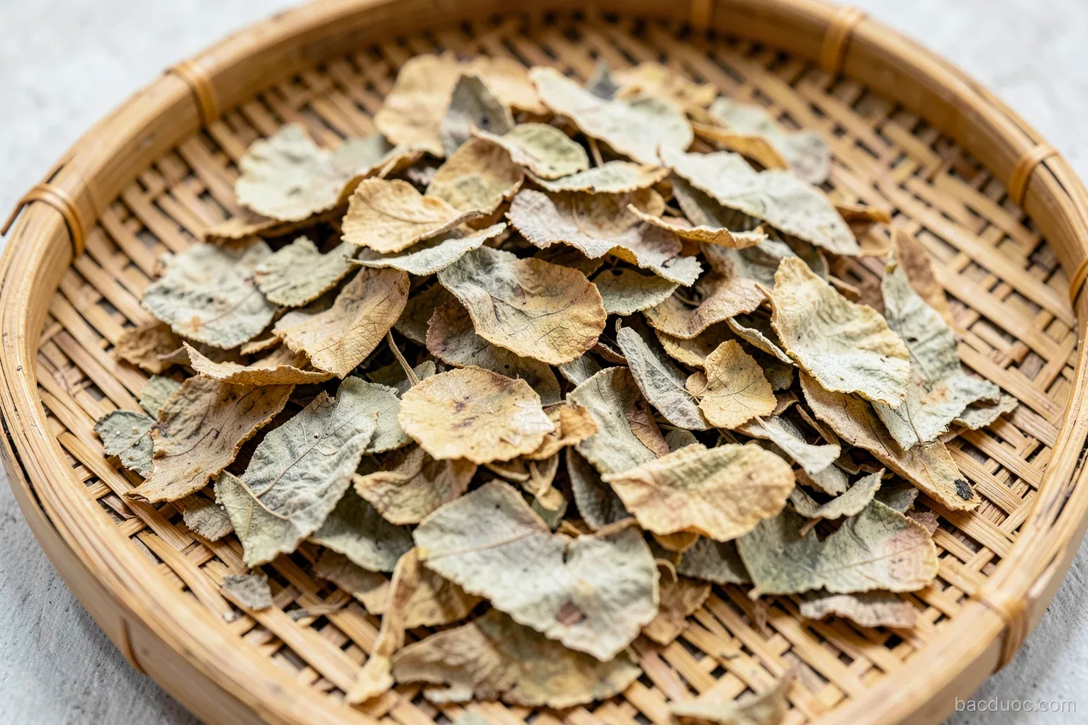 Vị thuốc thường gặp